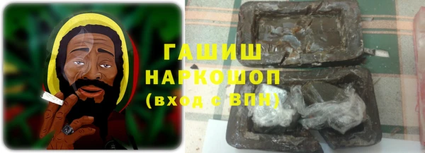 хмурый Алексин