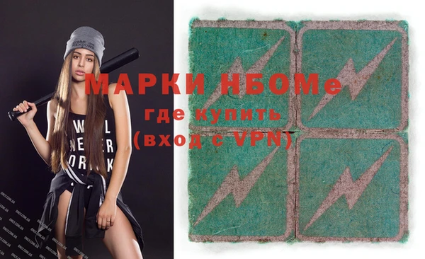 хмурый Алексин
