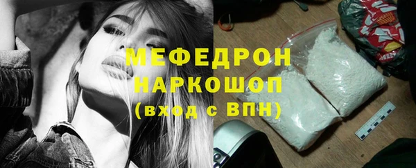сатива Новокубанск