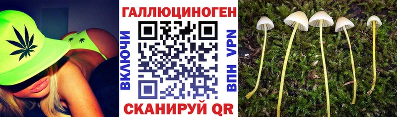 Галлюциногенные грибы ЛСД  где купить наркоту  Протвино 