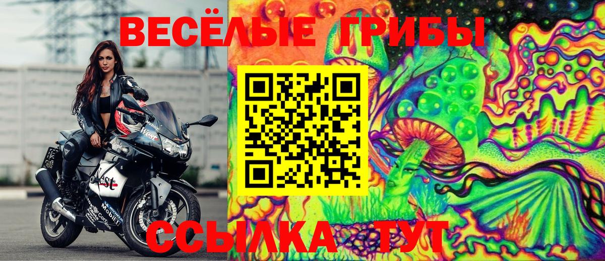 Псилоцибиновые грибы Psilocybe Протвино